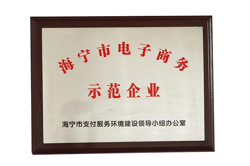 海寧市電子商務示范企業(yè)